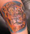 lion head tattoos imgae