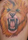 lion head tattoos pics