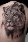 lion image of tattoo