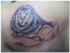 lion images tattoo