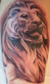 lion tattoo pic