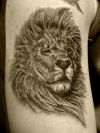 lion tattoo picture on arm