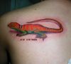 Lizard tattoo design