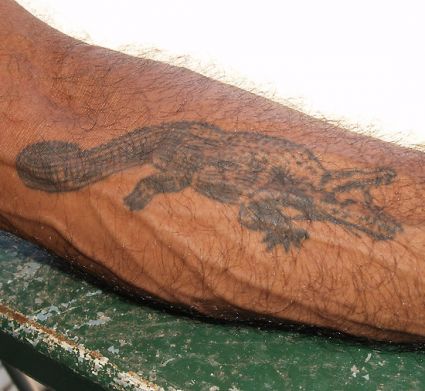 Crocodile Tattoo On Arm