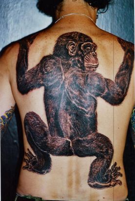 3d Monkey Back Tattoo