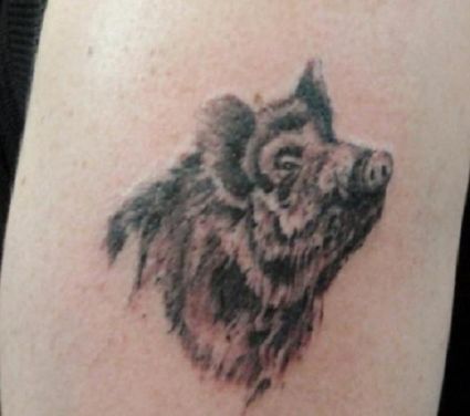 Boar Tattoo 