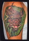 boar tattoo on arm