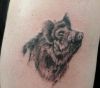 boar tattoo 