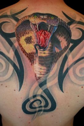 Japanese Snake Tattoo