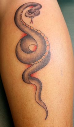 Small Snake Tats Pics