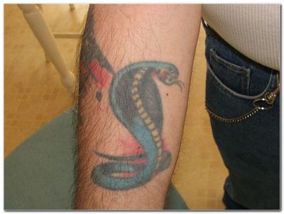 Animal tattoos, Snake tattoos, Tattoos of Animal, Tattoos of Snake, Animal tats, Snake tats, Animal free tattoo designs, Snake free tattoo designs, Animal tattoos picture, Snake tattoos picture, Animal pictures tattoos, Snake pictures tattoos, Animal free tattoos, Snake free tattoos, Animal tattoo, Snake tattoo, Animal tattoos idea, Snake tattoos idea, Animal tattoo ideas, Snake tattoo ideas, snake tattoo on hand