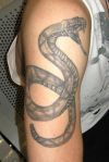 rattle snake tattoo