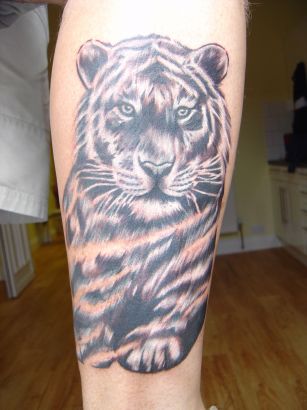 Tiger Tattoos Pictures 