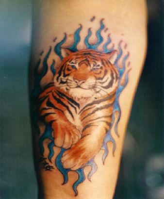 Burning Tiger Tattoo 