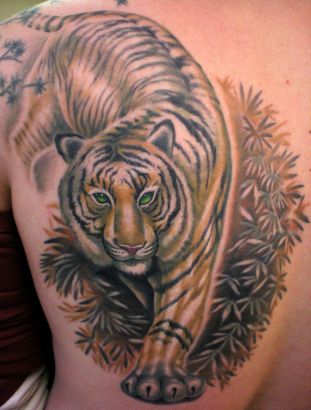 Tiger Back Tattoo