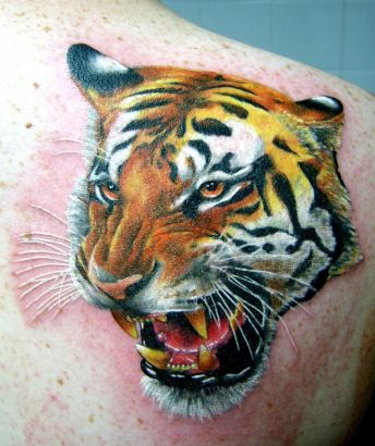 Tiger Head Tattoo Pic