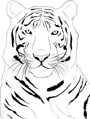 Tiger Free Tattoos