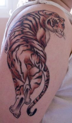 Tiger Images Tattoo