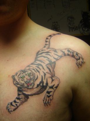 Tiger Tattoos On Chest