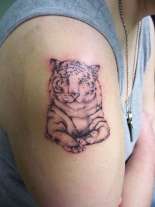 Tiger Tattoo Picures