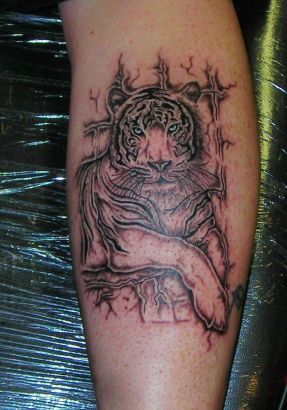 Tiger Tattoo Pictures