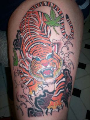 Tiger Tattoo Picture