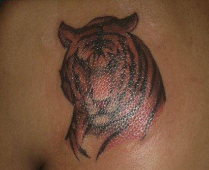 Tiger Head Picture Tattoo