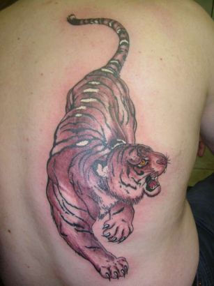 Tiger Pic Of Tattoo