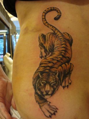 Tiger Tattoos Design Gallery