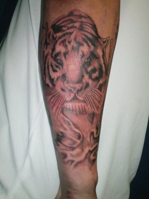 Animal tattoos, Tiger tattoos, Tattoos of Animal, Tattoos of Tiger, Animal tats, Tiger tats, Animal free tattoo designs, Tiger free tattoo designs, Animal tattoos picture, Tiger tattoos picture, Animal pictures tattoos, Tiger pictures tattoos, Animal free tattoos, Tiger free tattoos, Animal tattoo, Tiger tattoo, Animal tattoos idea, Tiger tattoos idea, Animal tattoo ideas, Tiger tattoo ideas, tiger picture tattoo