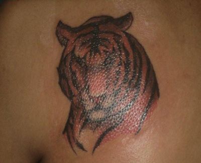 Animal tattoos, Tiger tattoos, Tattoos of Animal, Tattoos of Tiger, Animal tats, Tiger tats, Animal free tattoo designs, Tiger free tattoo designs, Animal tattoos picture, Tiger tattoos picture, Animal pictures tattoos, Tiger pictures tattoos, Animal free tattoos, Tiger free tattoos, Animal tattoo, Tiger tattoo, Animal tattoos idea, Tiger tattoos idea, Animal tattoo ideas, Tiger tattoo ideas, tiger head picture tattoo