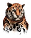 manga tiger tattoo