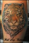 tiger head tattoo pics