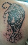 Tiger tattoos design