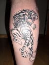 Tiger tattoos image