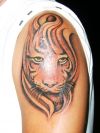 Tiger tattoos gallery