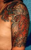 dragon and tiger tattoos