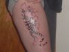 tiger tattoo pic on thigh