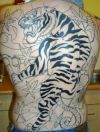 large tiger tattoo on back