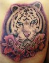 white tiger tattoos