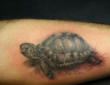 Turtle Tattoo Image