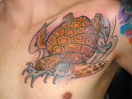 Turtle Tattoo Pic On Side Chest