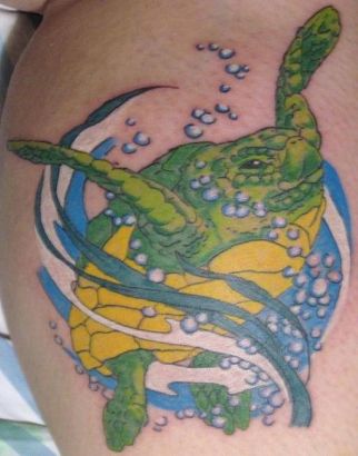 Turtle Tattoo Pictures Design