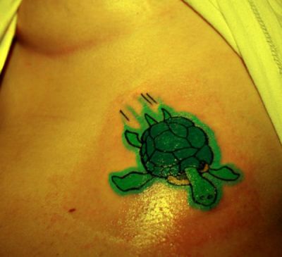 Animal tattoos, Turtle tattoos, Tattoos of Animal, Tattoos of Turtle, Animal tats, Turtle tats, Animal free tattoo designs, Turtle free tattoo designs, Animal tattoos picture, Turtle tattoos picture, Animal pictures tattoos, Turtle pictures tattoos, Animal free tattoos, Turtle free tattoos, Animal tattoo, Turtle tattoo, Animal tattoos idea, Turtle tattoos idea, Animal tattoo ideas, Turtle tattoo ideas, turtle tattoo pics on girl's stomach