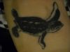 sea turtle tattoo