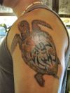 turtle tattoo image on left arm