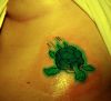 turtle tattoo pics on girl's stomach