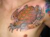 turtle tattoo pic on side chest