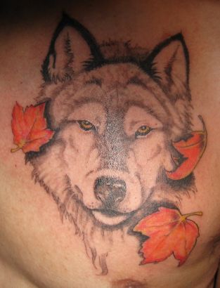 Wolf Head And Maple Leaf Tattoo