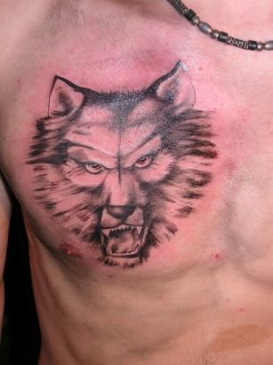 Wolf Head Image Tattoo On Chest